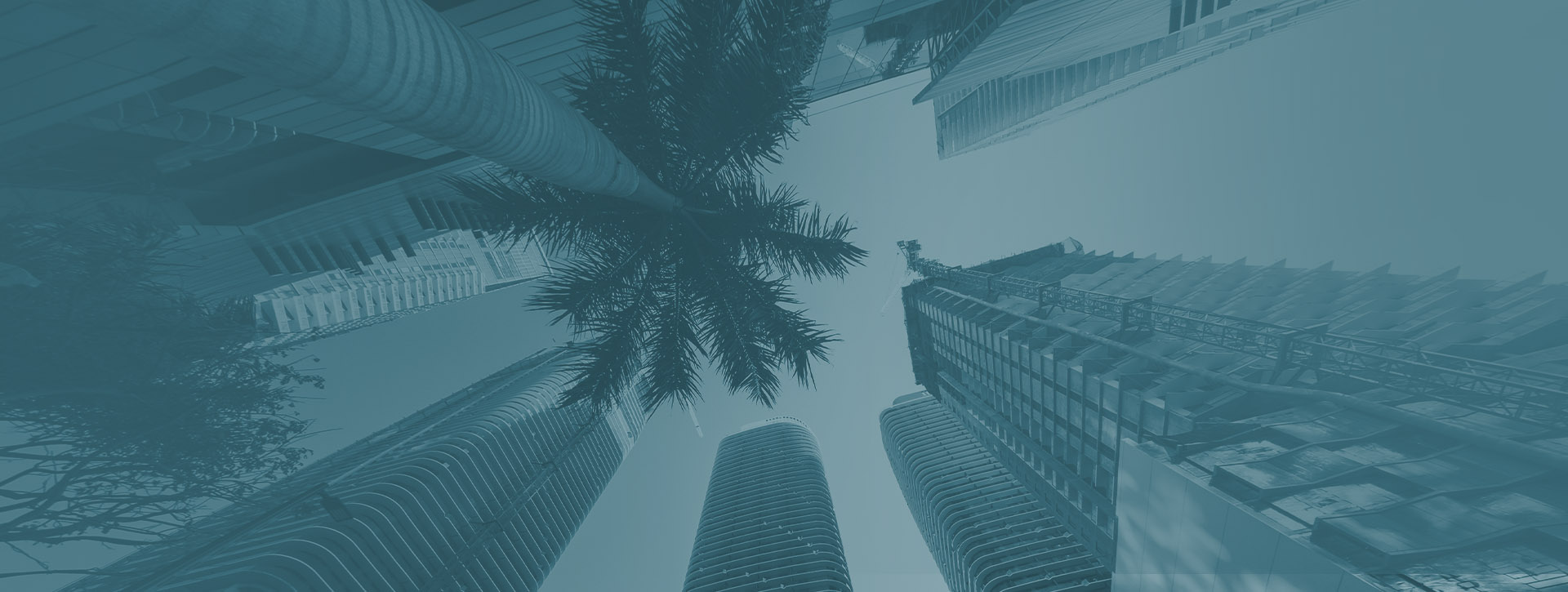 Miami Business Litigation Attorney